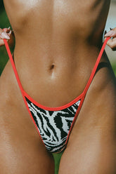 Thong Bikini Bottoms in Zebra Print